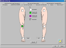 LSW Lower Extremity Evaluation and Impairment Software